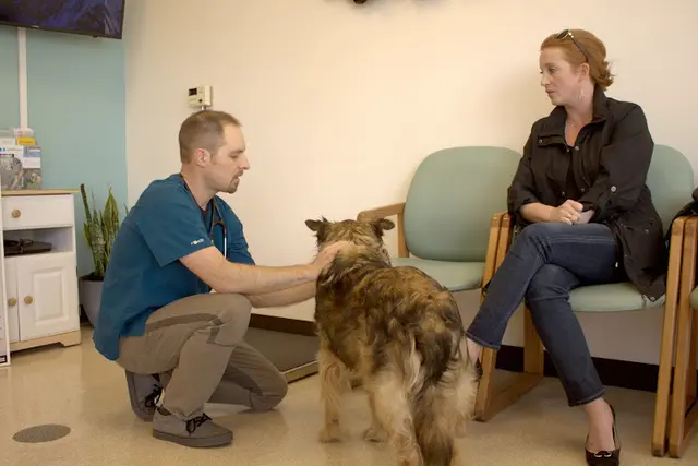 Dog day care center Companion Pet Clinic of Bend Bend