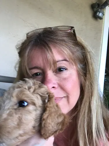 Dog trainer Elk Grove Critter Sitter Elk Grove