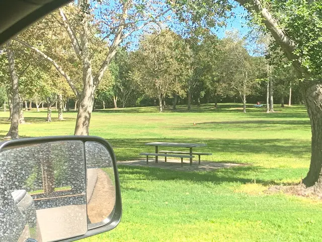 Dog Park Tiscornia Park Sacramento