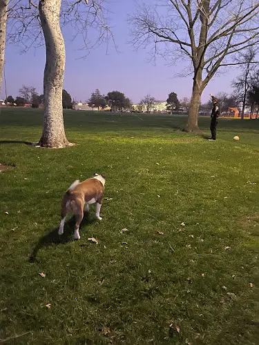 Dog Park Community Park Chico