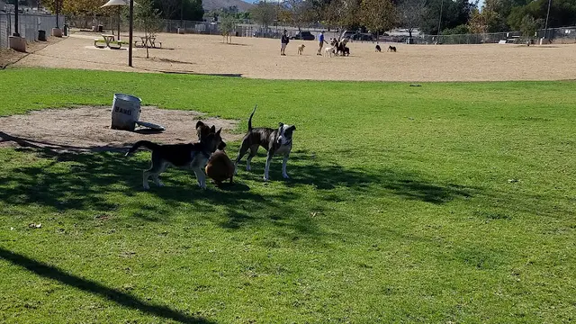 Dog Park Conejo Creek Dog Park Ventura