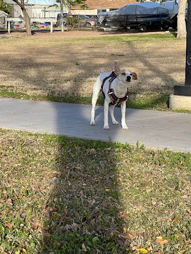Dog walker Community Veterinary Hospital Garden Grove