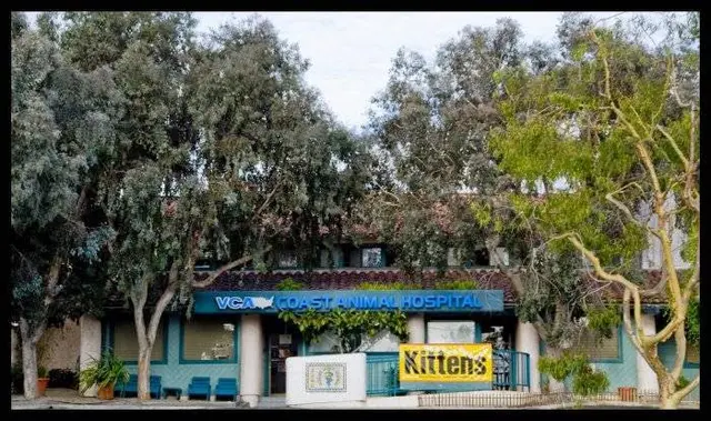 Pet vet VCA Coast Animal Hospital Torrance