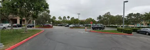 Rescue & Shelter Seniors Helping Seniors Irvine