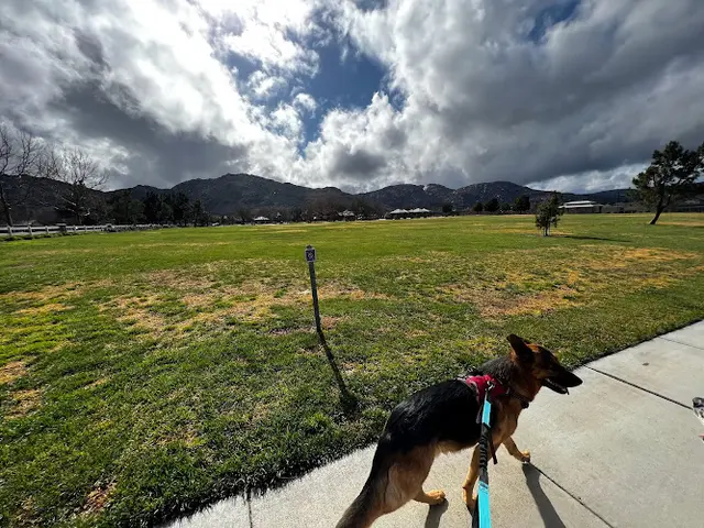 Dog Park Wolf Creek Park Temecula