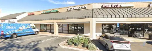 Dog walker Pamela's Pampered Pets Escondido