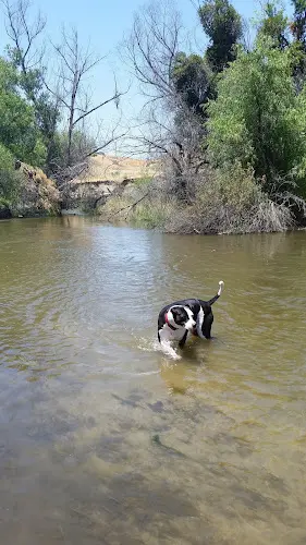 Dog Park Hart Memorial Park Bakersfield