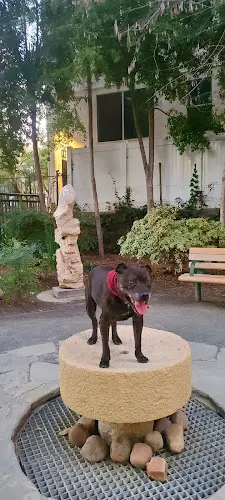 Dog Park Kings Road Park Burbank