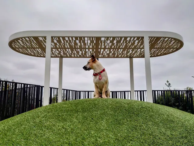 Dog Park Novel Park Small Dog Park Irvine