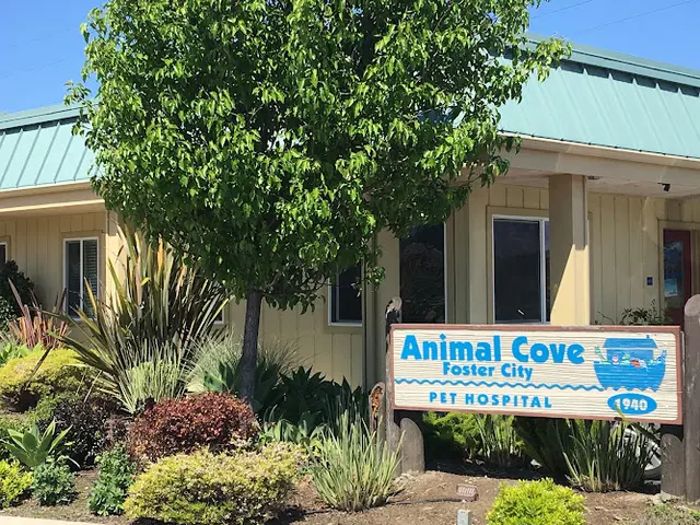 Dog day care center Animal Cove Pet Hospital San Mateo