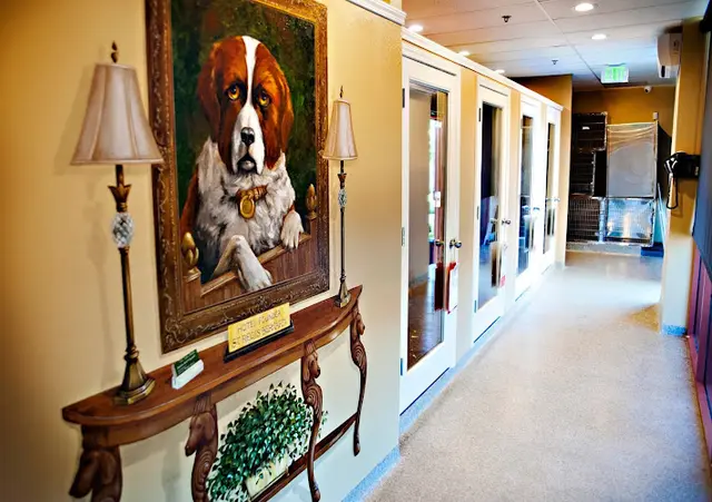 Pet vet Rocklin Ranch Veterinary Hospital Roseville