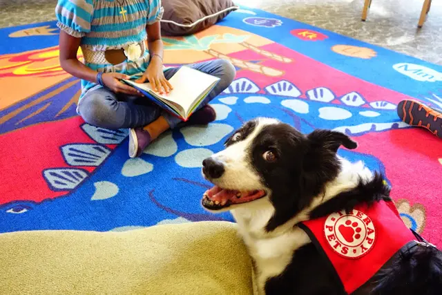 Dog breeder TherapyPets San Leandro
