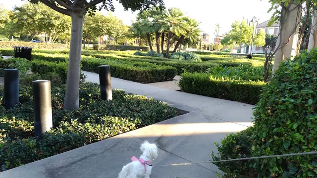Dog Park Laurel Square Park Irvine