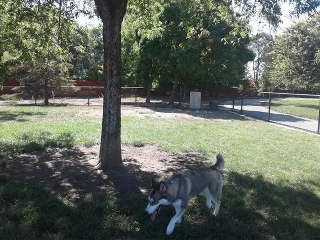 Dog Park Marlin Pound Neighborhood Park Livermore