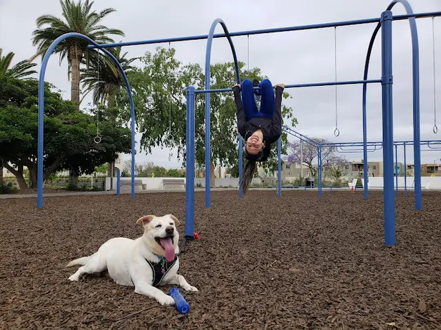 Dog Park The Pools Park Irvine