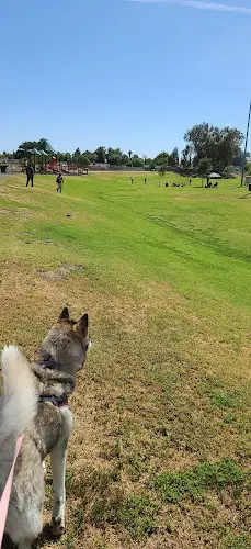 Dog Park City Park Clovis