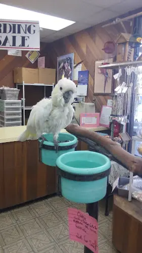 Rescue & Shelter Magnolia Bird Farm Anaheim