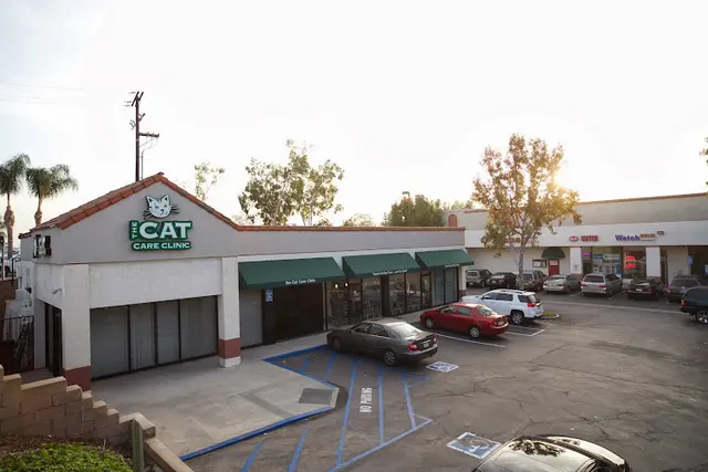 Dog walker The Cat Care Clinic Orange