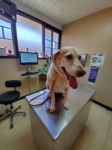 Pet vet Colma Animal Hospital Daly City