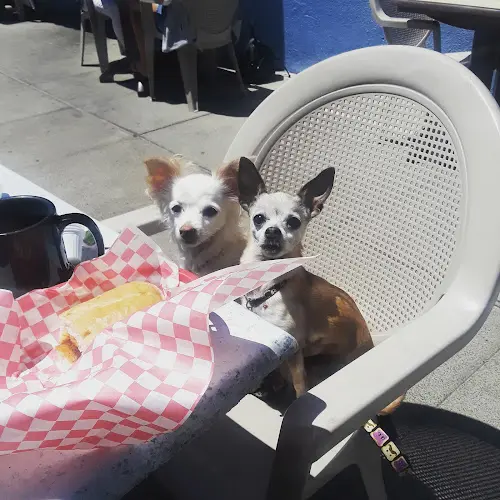 Rescue & Shelter Centinela Feed & Pet Supplies Torrance