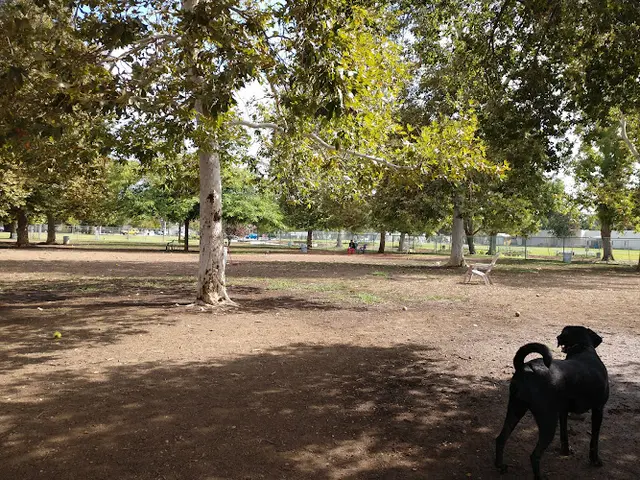 Dog Park Sepulveda Basin Off-Leash Dog Park Inglewood