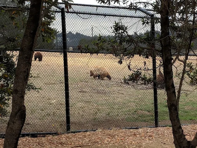 Dog Park Knowland Park Oakland