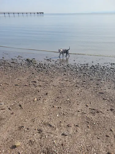 Dog Park Candlestick Point State Recreation Area Daly City