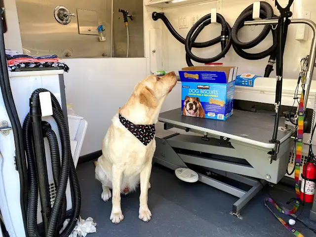 Dog Grooming Doggie Spa on Wheels Mobile Pet Grooming Burbank