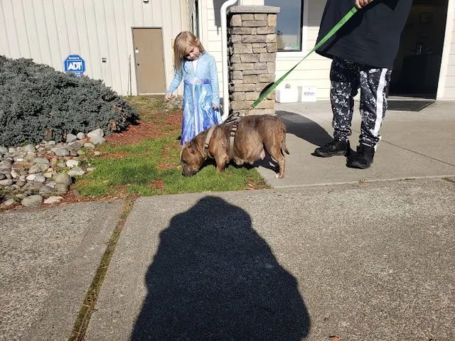Pet vet Tahoma Veterinary Hospital Tacoma