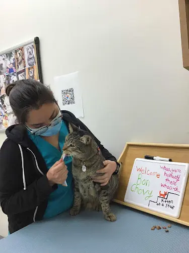 Pet boarding service Irvine Valley Veterinary Hospital Irvine
