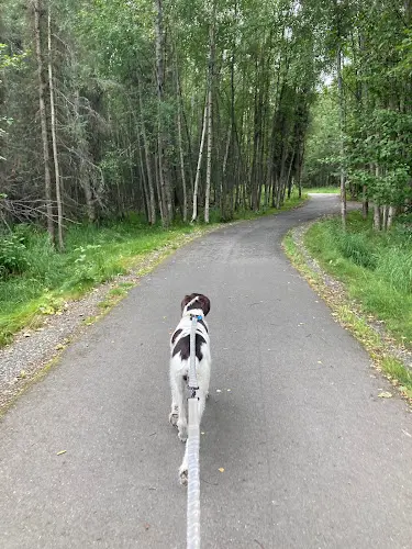 Dog Park Tikishla Park Anchorage