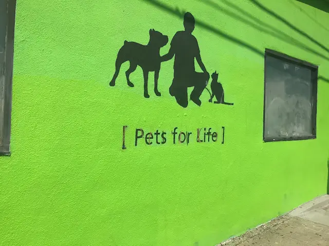 Rescue & Shelter Pets for Life Los Angeles