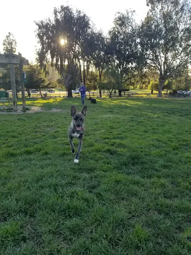 Dog Park City of Milpitas Dog Park at Ed R. Levin Fremont