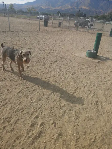 Dog Park Two Rivers Park Ventura