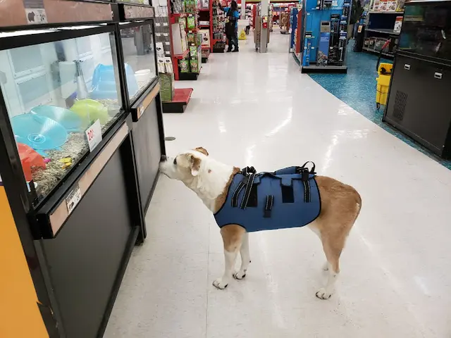 Rescue & Shelter Petco Anchorage