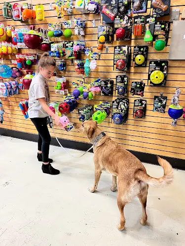 Pet vet Pet Vet Pet Food Richmond