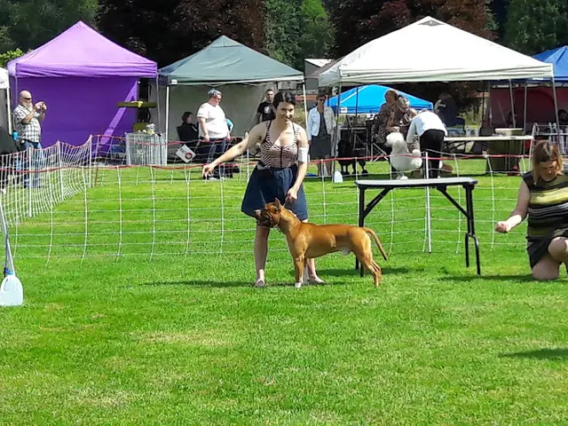 Dog trainer Argus Ranch Dog Sports & Training Center Renton