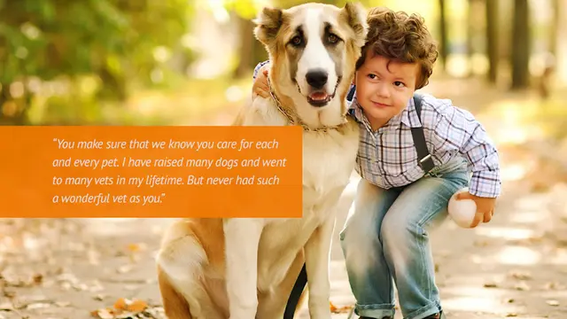 Pet vet Clairemont Village Pet Clinic San Diego