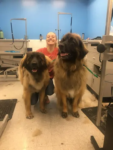 Dog breeder Petco Vallejo