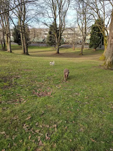 Dog Park Farragut City Park Portland