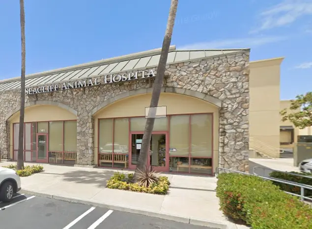 Dog day care center Seacliff Animal Hospital Huntington Beach