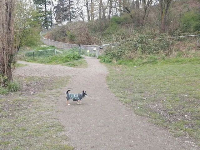 Dog Park Dr. Jose Rizal Park Renton