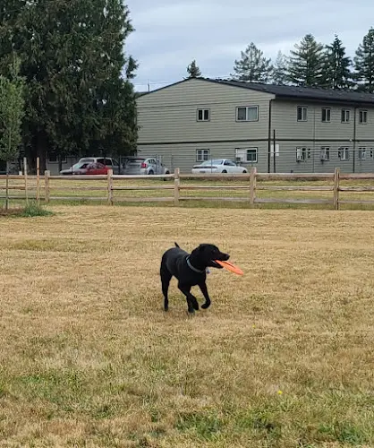Dog Park East Holladay Park and Dog Park Gresham
