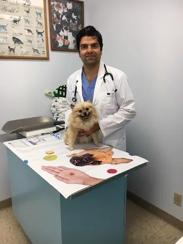 Pet boarding service Sea Gate Veterinary Hospital Westminster