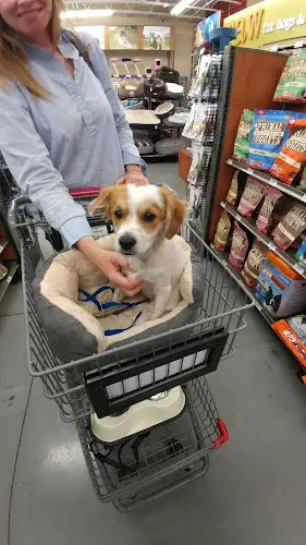 Pet vet Pet Food Express Daly City