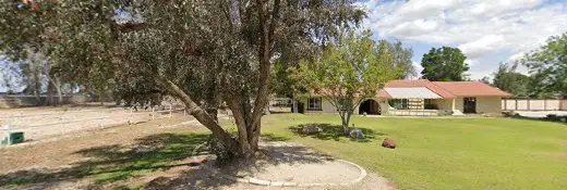 Dog breeder Santer Arabians Bakersfield