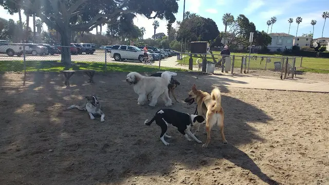 Dog Park Dusty Rhodes Park San Diego