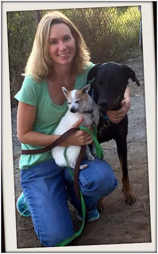 Pet vet CoastView Veterinary Hospital and Urgent Care San Diego