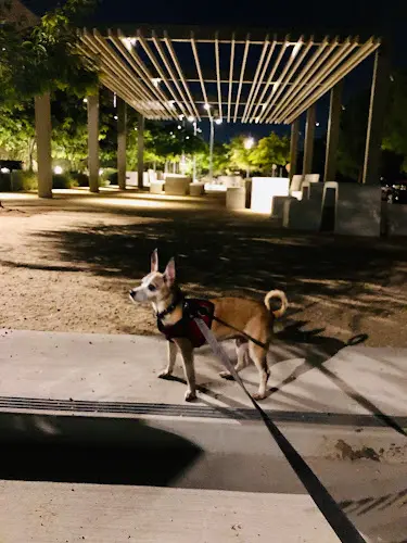 Dog Park Ishihara Park Santa Monica