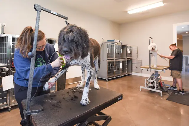 Pet vet The Ranch Pet Resort & Spa Livermore